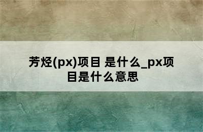 芳烃(px)项目 是什么_px项目是什么意思